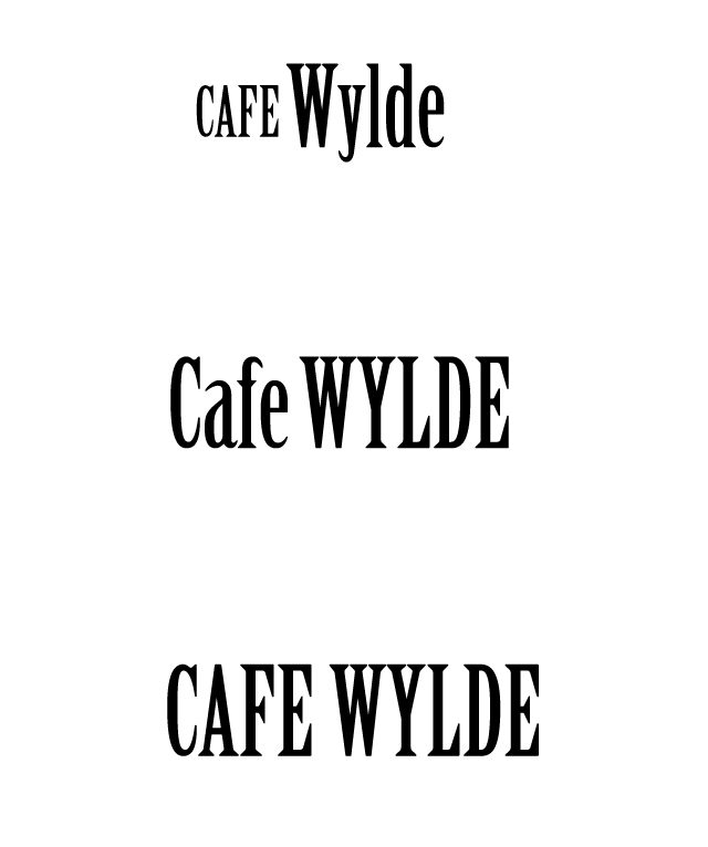 Round ten — three finalists narrowing the case treatment, ending on both words set as equal-weight caps so neither half of the name outranks the other