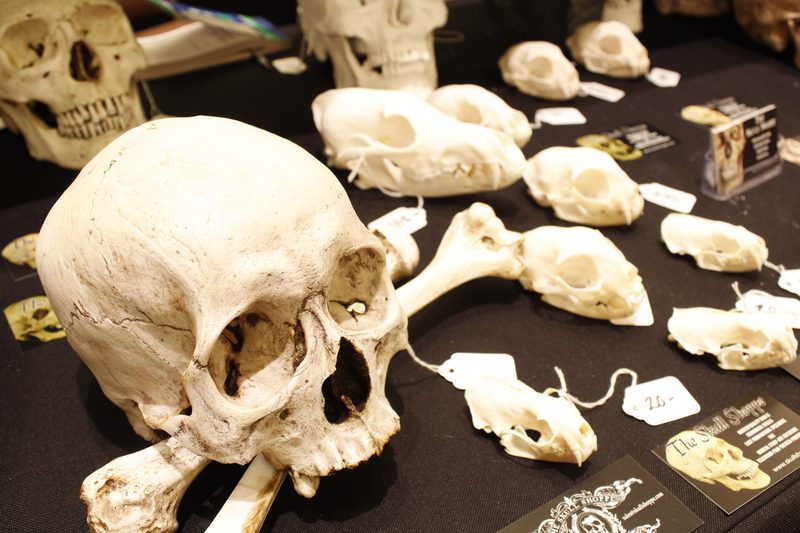 Crypticon 2013 — costume prop and accessory detail