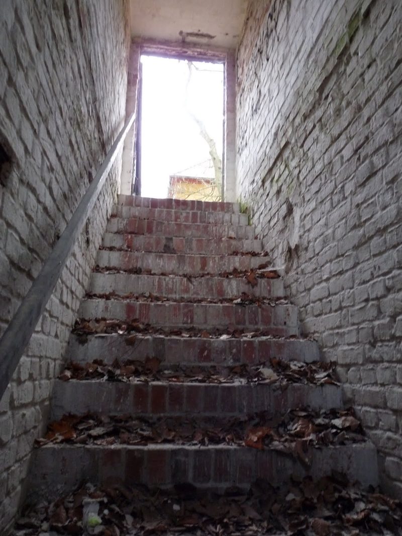 Found reference — a derelict brick stairwell climbing toward a blown-out doorway, leaf litter on the treads, the source of the looking-upward framing the studies kept returning to